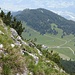 Walder Alm kommt in den Blick.