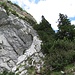 Vom Sattel oberhalb des Südcouloirs klettert man ein paar Meter auf dem Felsgrätchen nach oben und biegt dann rechts in einen Wildwechsel ein.