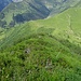 Monte Pizzul ( o Pizzol ) : vista sul Passo e la Chiesetta della Manina