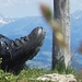 mein Gipfelfoto auf dem Hirschberg
