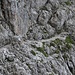 Abwechslungsreicher Weg zum Klettersteig (T 5)