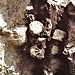 Al Castell, tra l'Alpe Geccio e gli omonimi laghetti si trova un affioramento di Serpentino che porta impresse le emisfere dovute all'estrazione della piettra ollare, in Ossola detta "laugera".