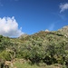 Blick zurück zum Gipfel