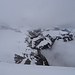Leider befindet sich der Sommet des Diablerets in den Wolken...