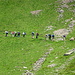 die Gruppe im Aufstieg, es fehlen noch ein paar, wir waren 17 Personen