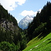 der breite Forstweg mit fantasticher Aussicht