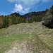 Am "steilen Fußweg" unterwegs zum Hochhäderich.