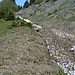 Links der steilen Platten geht es aufwärts.