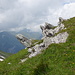kleines Steinessemble am Wegesrand