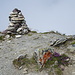 Gipfel Gamidauerspitz 2309 m