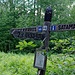 Los geht es am Seeufer hinauf zum Berg Koli...