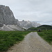 Hohljoch