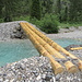 seltsame Brücke, die Stämme waren sauglatt