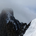 Die Gipfelpartie des Piz Berninas. Es waren mindestens 5 Seilschaften und ein Solo-Berggänger unterwegs am Biancograt.