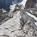 Im Abstieg vom Kleinen Koppenkarstein (via Westgrat-Klettersteig) - Langsam kommt die Hunerscharte wieder näher (rechts).