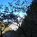 Wer zu faul ist, um zu wandern<br />Soll zuhause bleiben<br /><br />(Ups...das ist ein wenig hart gesagt. Aber ich lasse es Moment stehen ;-)