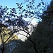 Wer weiss<br />Vielleicht <br />Hat man es <br />Nicht immer leicht<br />Beim Wandern