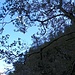 ♬♫♬ Haben Sie schon mal den Mann im Mond geseh'n? ♫♬♫<br />[https://www.youtube.com/watch?v=8PWwN5UUkhQ]