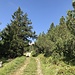 Aufstieg in Richtung Ziteil