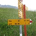 ... so folge ich diesem Wegweiser auf den von mir bereits 2 Tage zuvor in Gegenrichtung begangenen Weg
