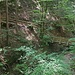 Wildromantisch gehts durch den Wald