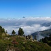 Aufstieg von Gspon zum Wyssgrat.<br />Die Berner Alpen liegen noch in den Wolken