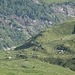 Weideeinzäunung bei der Alp Guraletsch