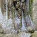 Wasserfall bei Motiers