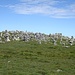 Die bekannten Steinmänner auf Rossstall (ein LK-Typo, da ist ein "s" zuviel)