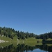 View over Oberstockensee