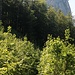 Drachenwand