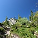 Almkogel