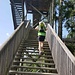 Wipfelwanderweg 