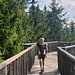 Wipfelwanderweg 