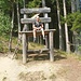 Wipfelwanderweg 