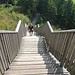 Wipfelwanderweg 