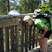 Wipfelwanderweg 