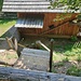Wipfelwanderweg 