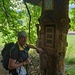 Wipfelwanderweg 