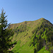 Blick von Guberentossen zum Gipfel des Buochserhorns