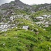 Chammhaldenroute