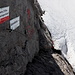 Im Aufstieg zur Steinerscharte - Rückblick, kurz nach dem Einstieg in den Klettersteig. Unten ist auch die (noch relativ kleine) Randkluft zu erkennen, beim Übergang vom Gletscher auf den Fels ist dort durchaus besondere Vorsicht geboten.