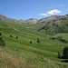 letzter Blick auf das Hochtal um die Alp Neaza