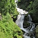 Cascate del Saut.