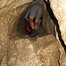 Gleich zu Beginn der Höhle führt ein enger Schacht aufwärts. 