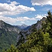 Oberhalb der Waldgrenze wird die Aussicht immer besser; hier der Blick nach Osten in den zentralen Teil der Ammergauer Alpen