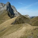 Scheideggstock (2078m): Gipfelaussicht über den Scheidegggrat zum Stierendossen (2244m). Ganz rechts ist der zuvor besuchte Grashügel Gross Storchen (2078m). 
