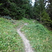Sentiero numero 2 oltre Arpilles 1870 mt in direzione del Col de Bard.