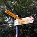 <b>In circa 20 minuti dai Monti Juri raggiungo la strada nella località Pian Marmafé (438 m), fra i vigneti terrazzati di Daro. </b>