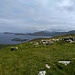 Looking N-E along An Blascaod Mór towards the mainland from Túr Comhartha.